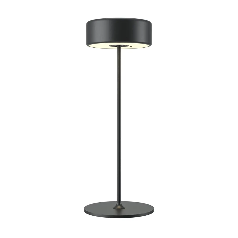 New Maytoni AI Collaboration 35cm portabel