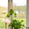 Sale PR Home August 34cm bordslampa