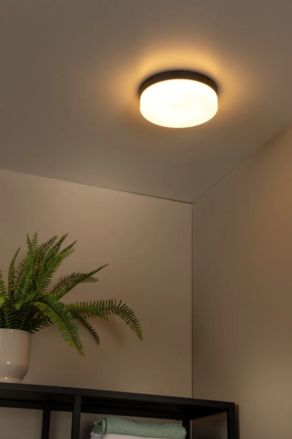 Discount Lucide Biskit Ø28 badrumslampa