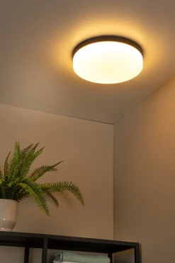 New Lucide Biskit Ø35 badrumslampa