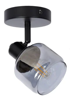 Lucide Bjorn spotlight
