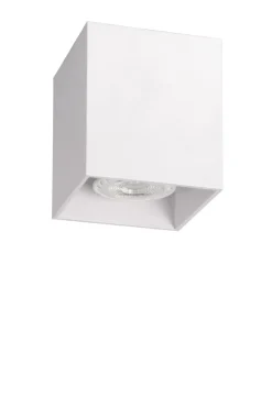 Hot Lucide Bodi spotlight
