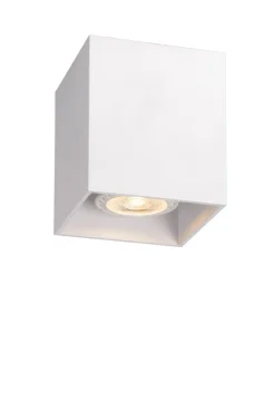 Hot Lucide Bodi spotlight