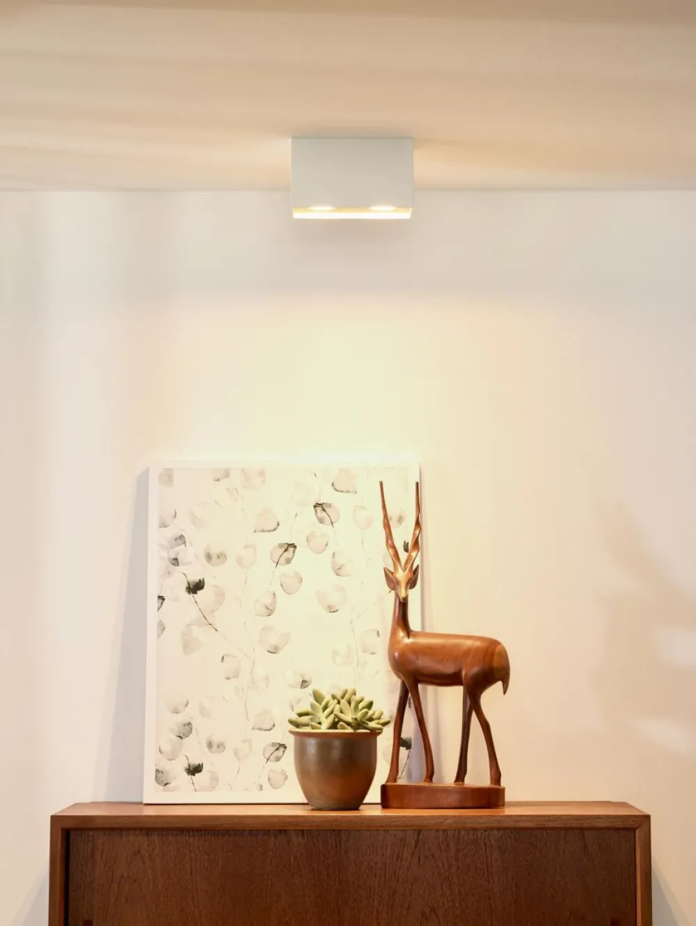 New Lucide Bodi 2 spotlight