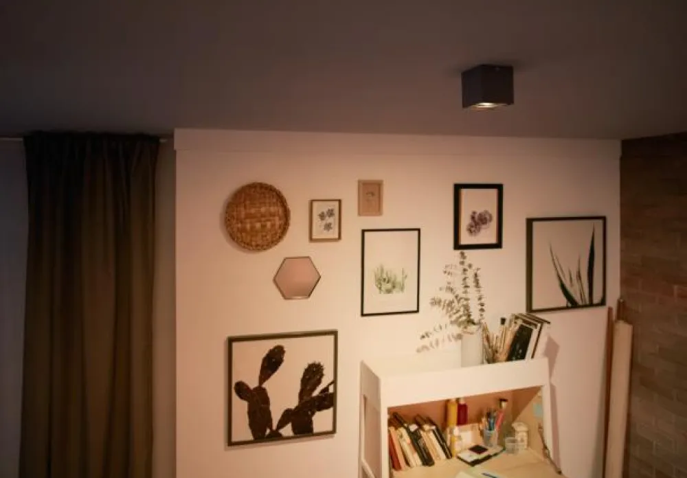 Online Philips Box spotlight