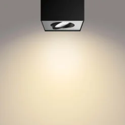 Online Philips Box spotlight
