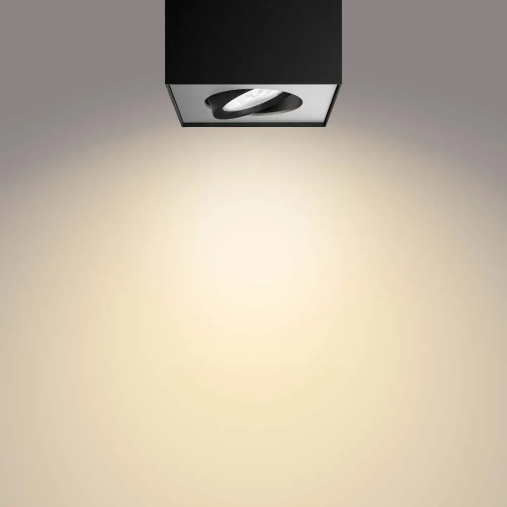 Online Philips Box spotlight