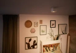 Online Philips Box spotlight