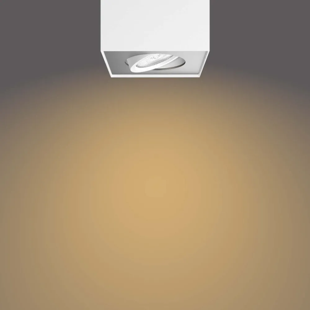 Online Philips Box spotlight