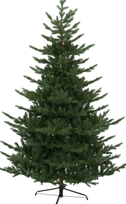 Best Star Trading Brekstad 210cm Grön