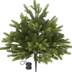 Sale Star Trading Busk 75cm Grön