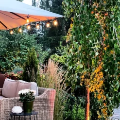 Discount Lightson Cozy Start 5m Svart