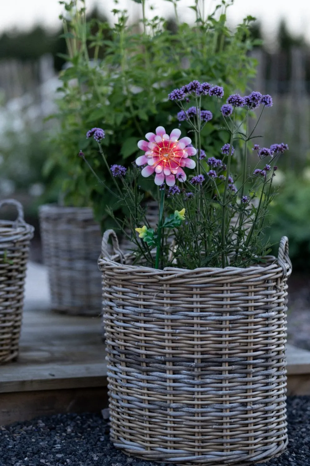 Discount Star Trading Daisy solcellslampa Rosa