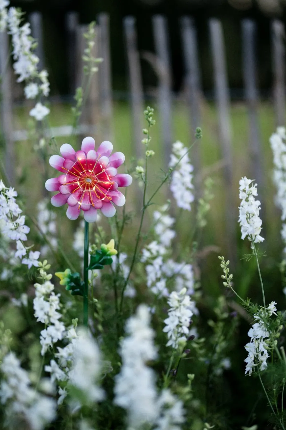 Discount Star Trading Daisy solcellslampa Rosa