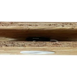 Best Designlight D-007 Downlight 3000K