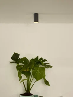 Lucide Delto spotlight