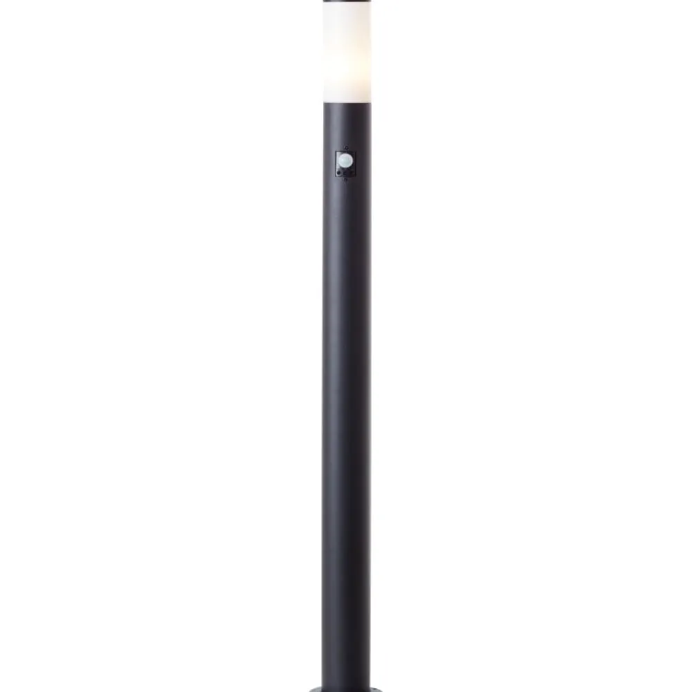 New Brilliant Dody 110cm pollare Svart