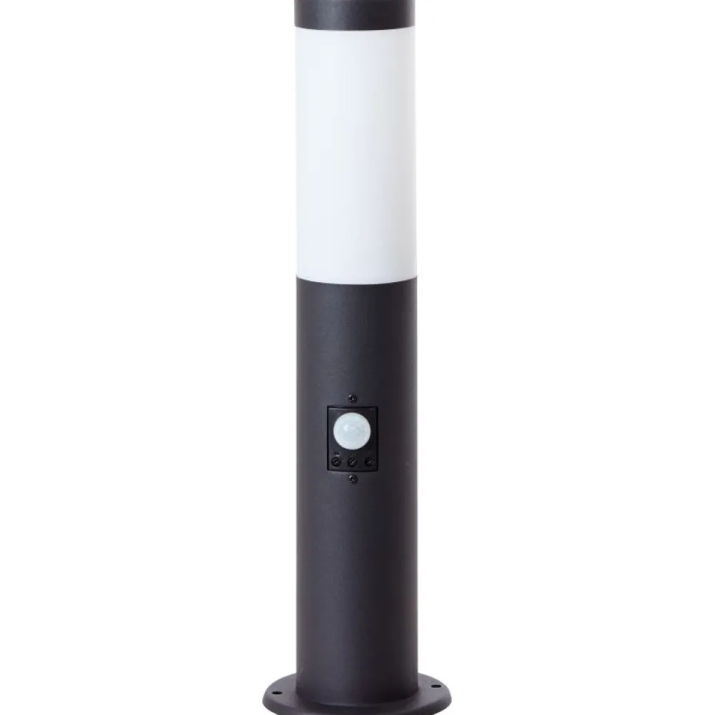 New Brilliant Dody 45cm pollare Svart