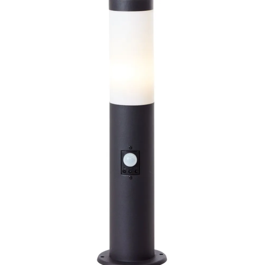 New Brilliant Dody 45cm pollare Svart