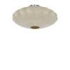 Best Light & Living Fay Ø50 plafond
