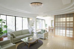 New Searchlight Hanna Ø55 plafond Guld