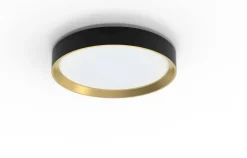 Philips Hanno Ø38 plafond