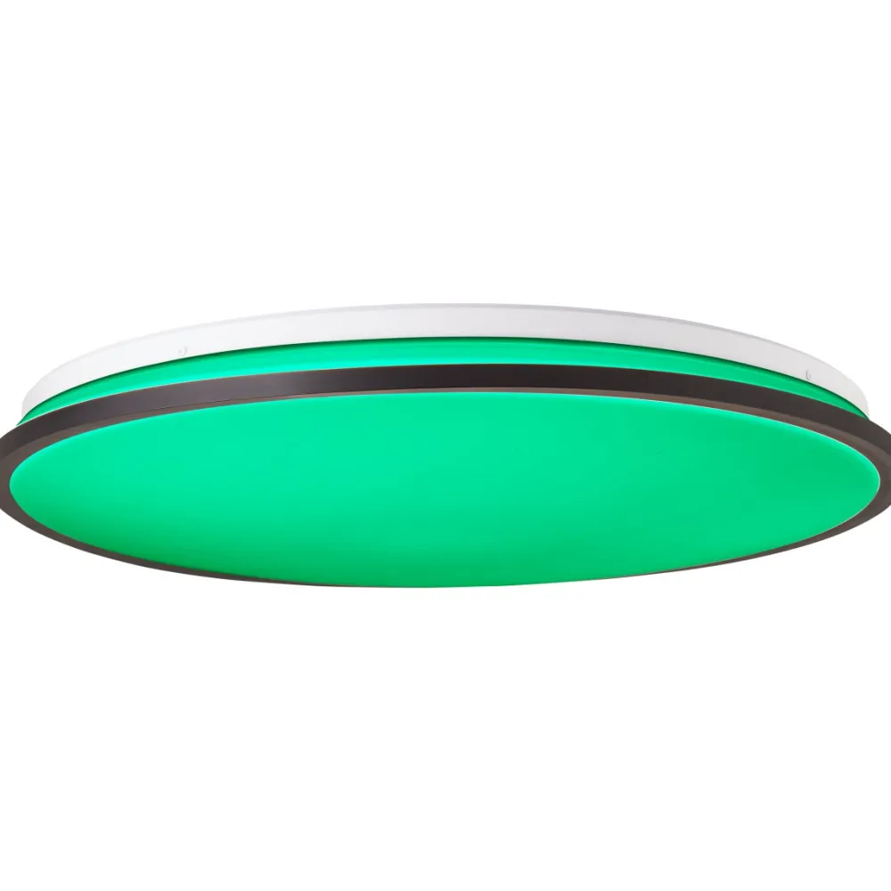 Sale Brilliant Heida Ø50 plafond Svart