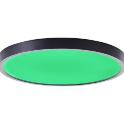 New Brilliant Lotti Ø30 plafond Svart