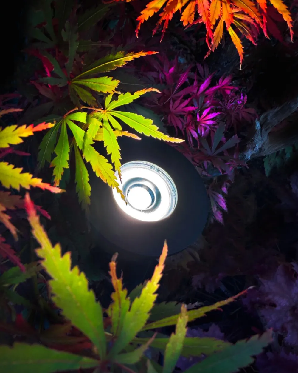 Online Lightson Luminius Mörkgrå