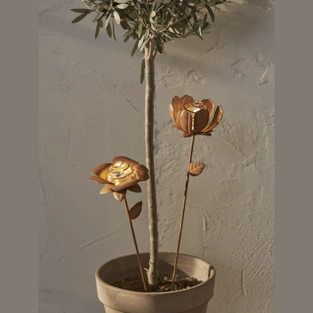 New Star Trading Oxida Flower 2-pack solcellslampa Rost