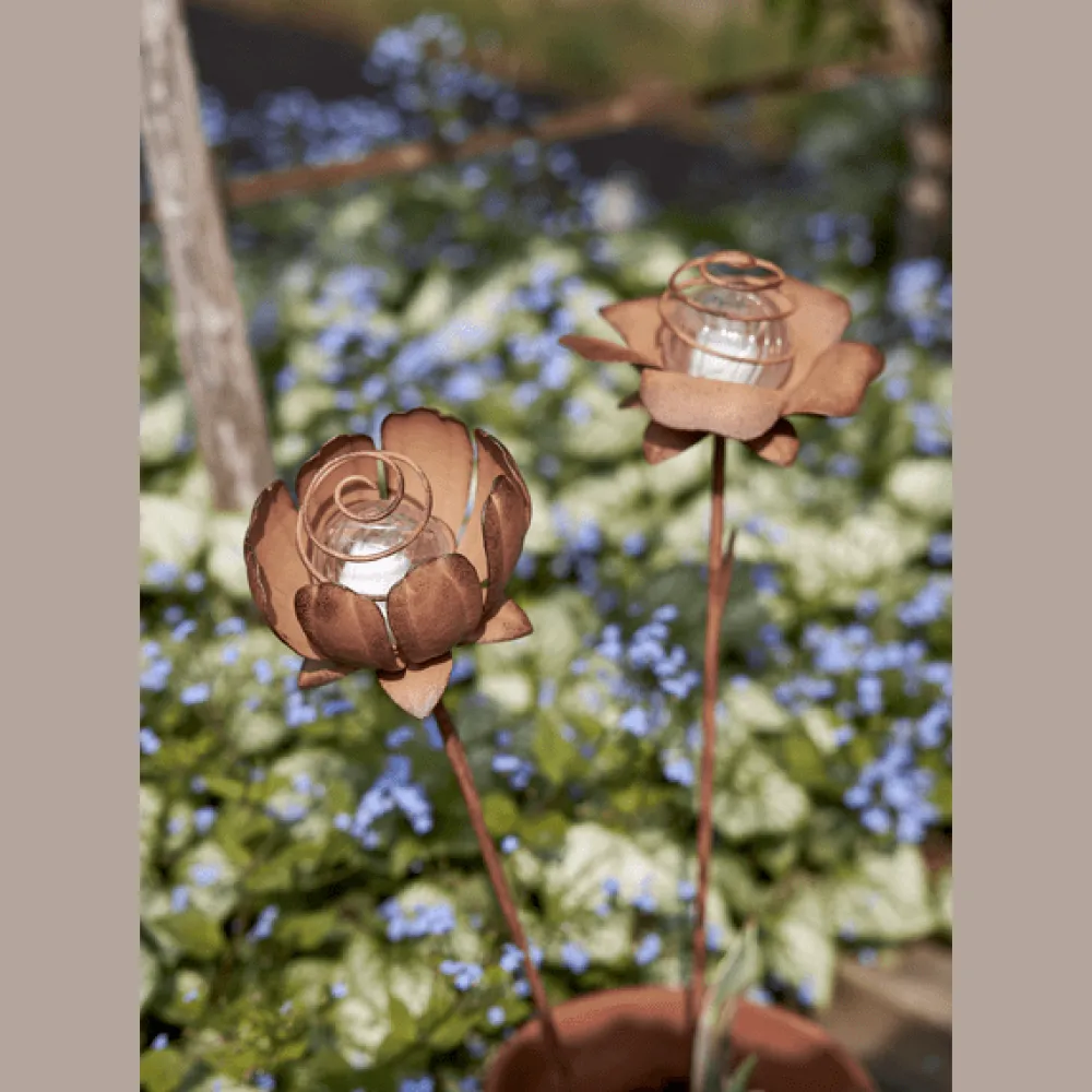 New Star Trading Oxida Flower 2-pack solcellslampa Rost
