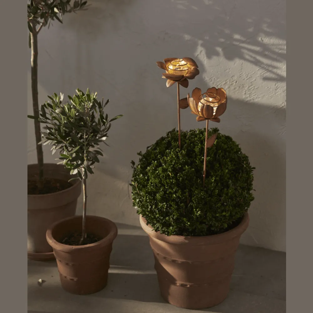 New Star Trading Oxida Flower 2-pack solcellslampa Rost