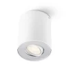 Clearance Philips Pillar spotlight