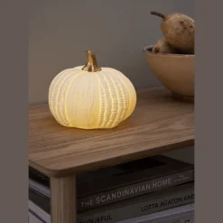 Discount Star Trading Pumpkin 12cm Vit