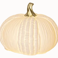 Discount Star Trading Pumpkin 12cm Vit