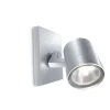 Hot Philips Runner spotlight