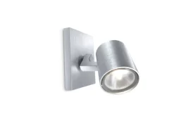 Hot Philips Runner spotlight