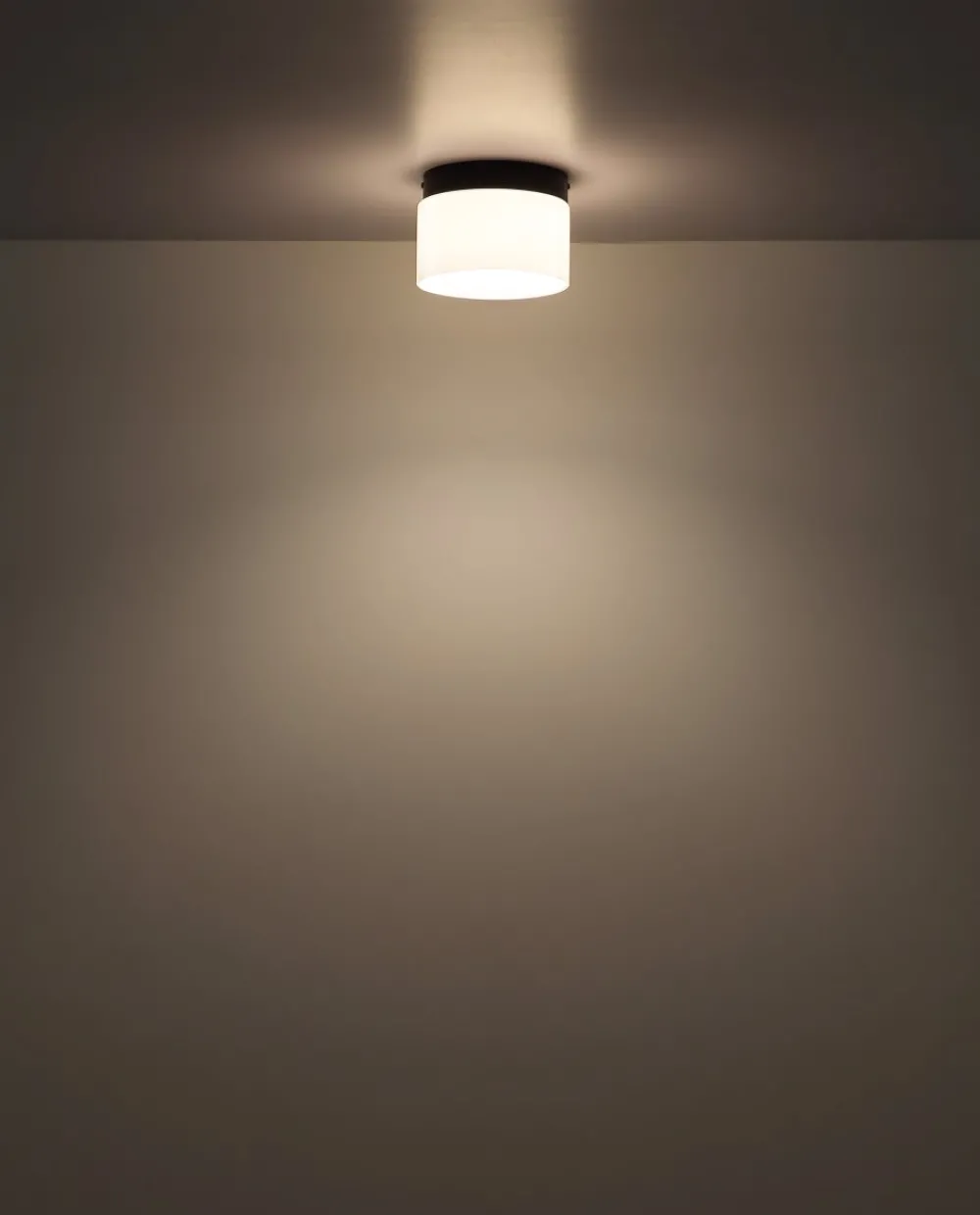 Online Globo Lighting Trenton Ø20 plafond Vit