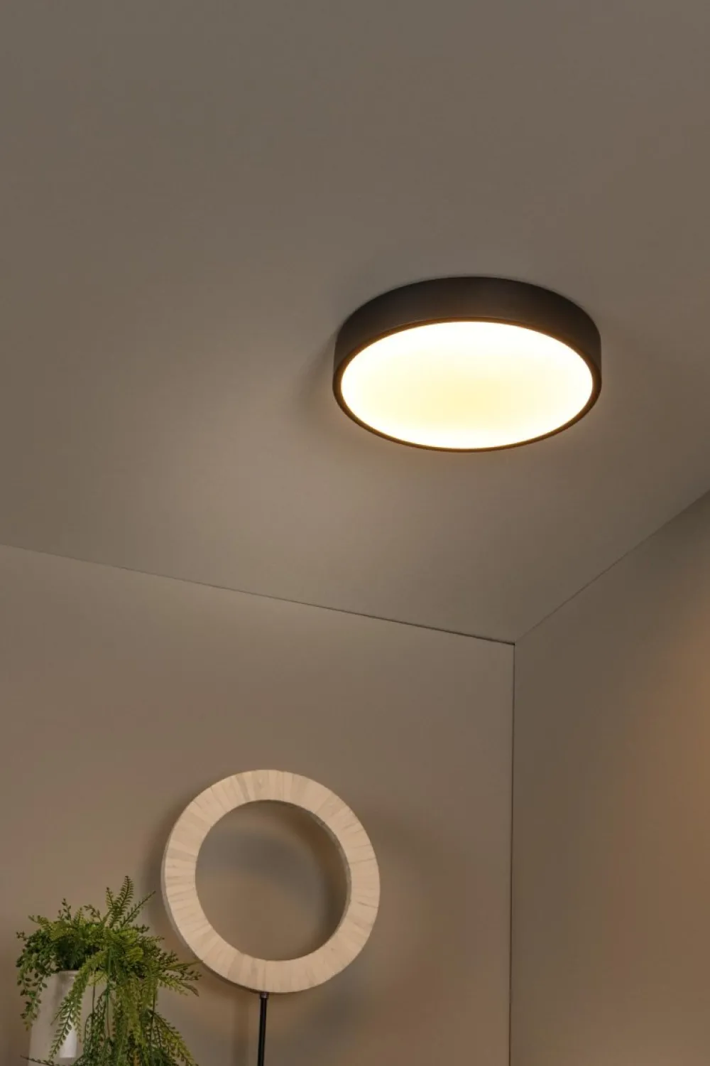 Hot Lucide Unar Ø30 plafond