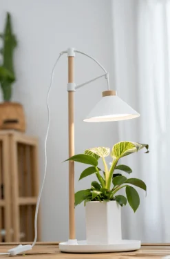 Sale Airam Växtbelysning Lily Vit
