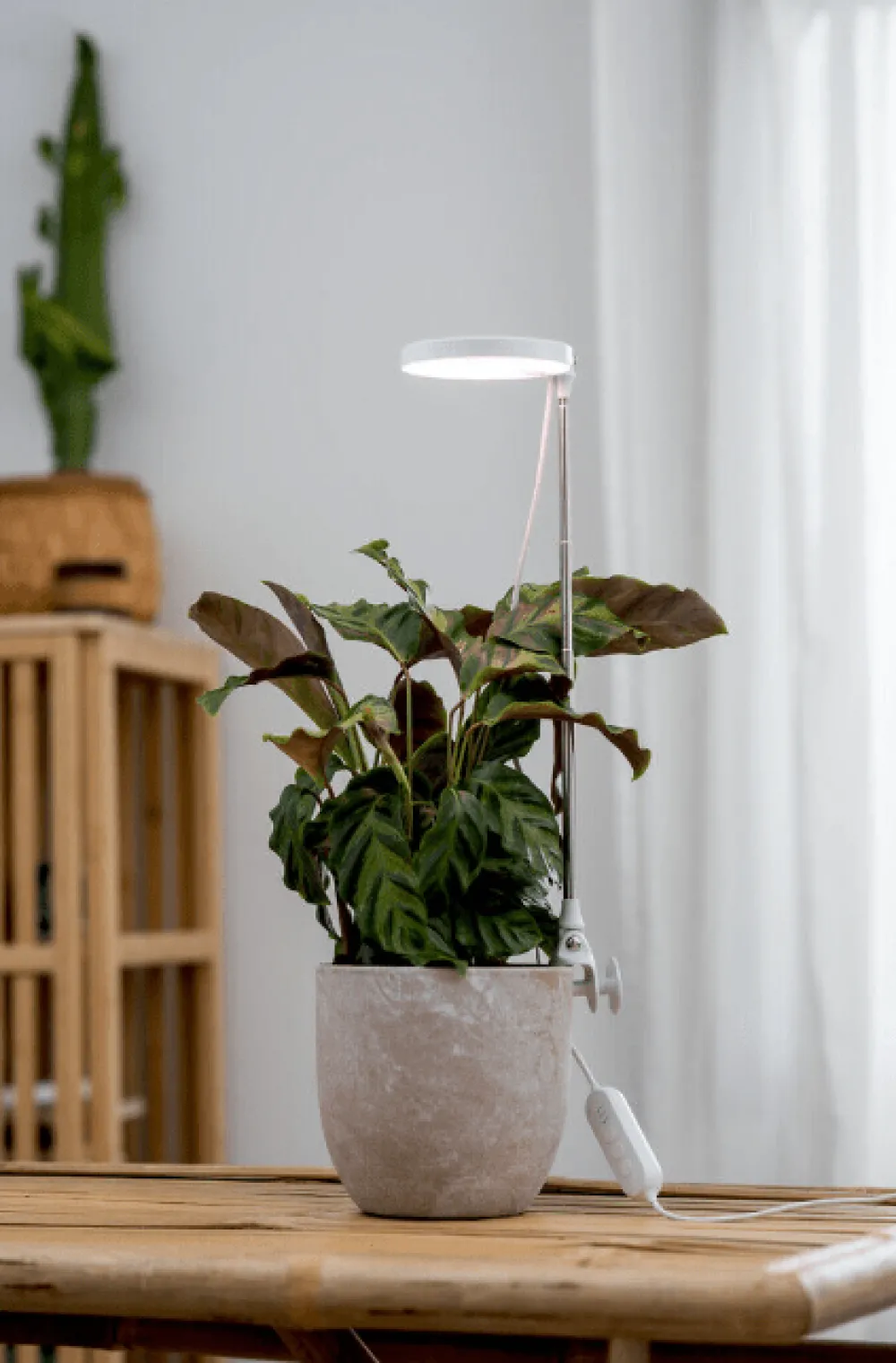 Hot Airam Växtbelysning Rose Vit
