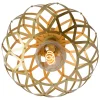 Hot Lucide Wolfram Ø30 plafond